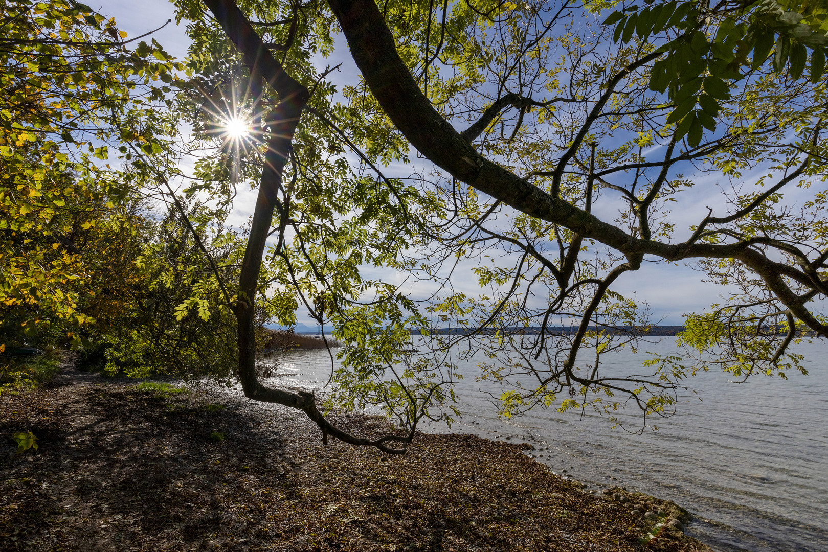 Herbst am Ammersee