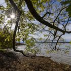 Herbst am Ammersee