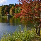 °Herbst am Angelbeckteich°