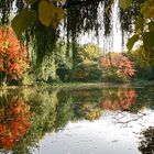 Herbst am Angelteich