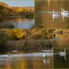 Herbst am Angelteich