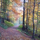 Herbst am Ardetzenberg