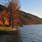 Herbst am Attersee 2