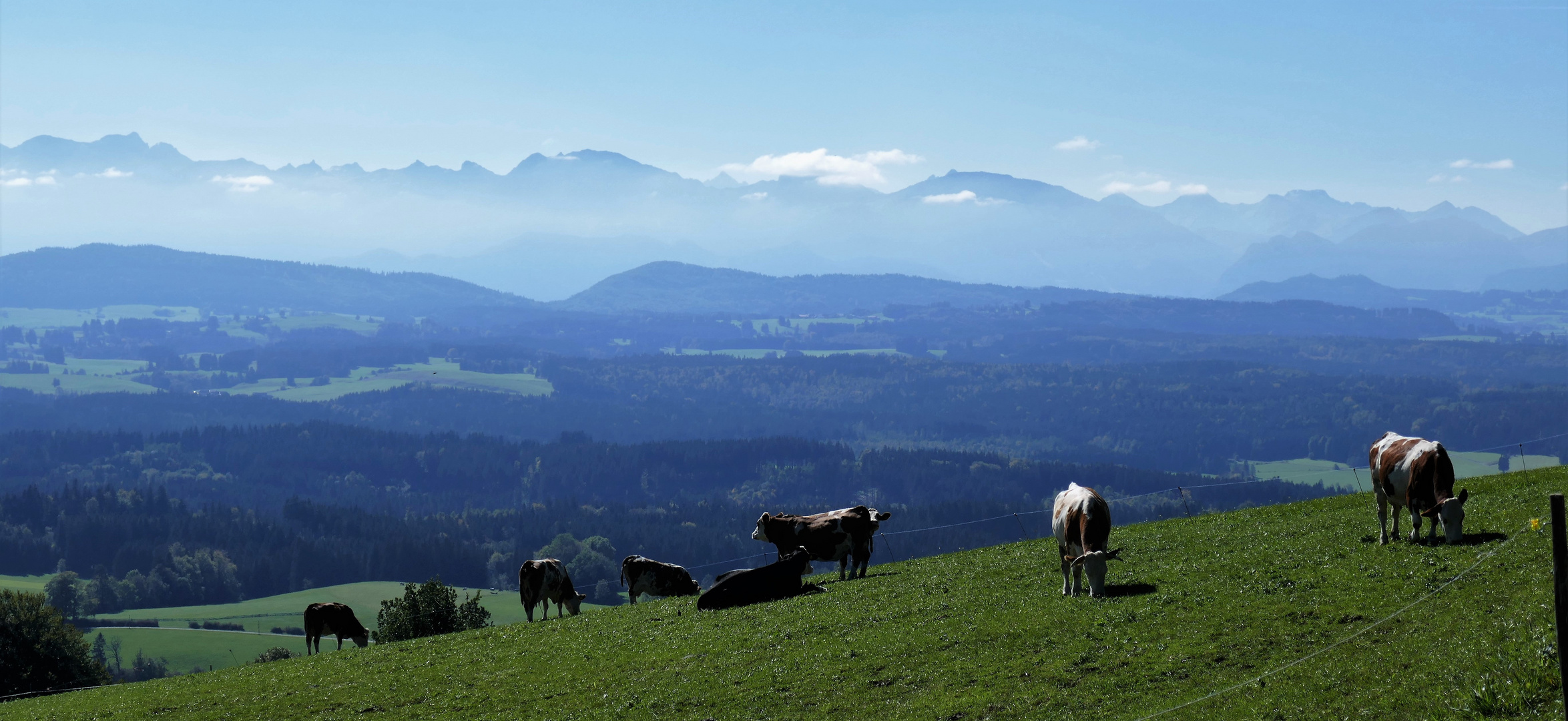 Herbst am Auerberg