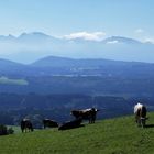 Herbst am Auerberg