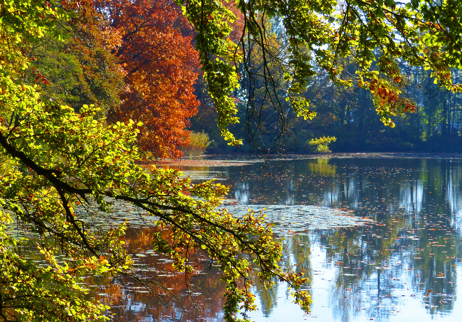 Herbst am Ausee