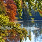 Herbst am Ausee