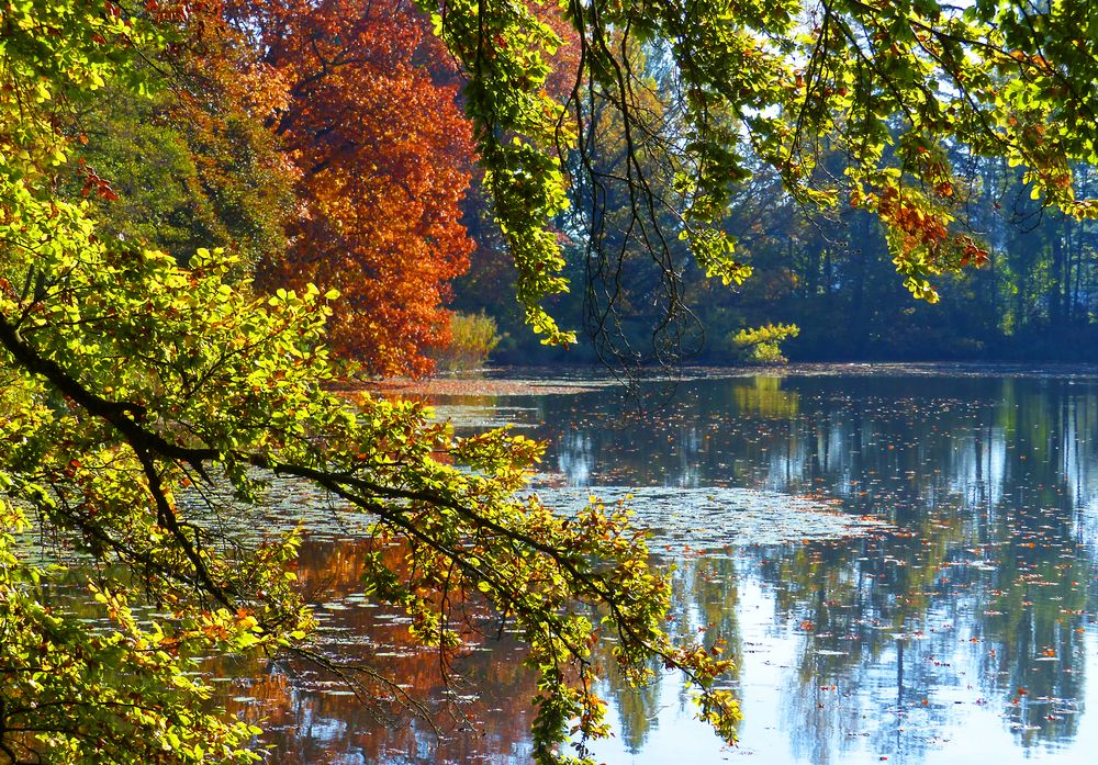 Herbst am Ausee