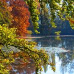 Herbst am Ausee