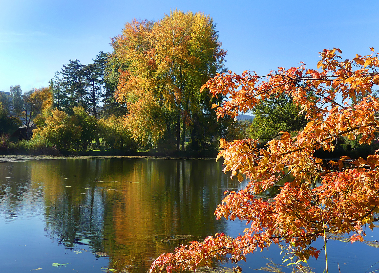 Herbst am Auseeli