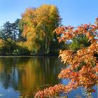 Herbst am Auseeli