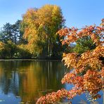 Herbst am Auseeli