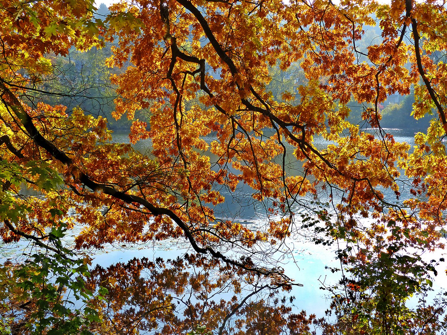 Herbst am Auseeli