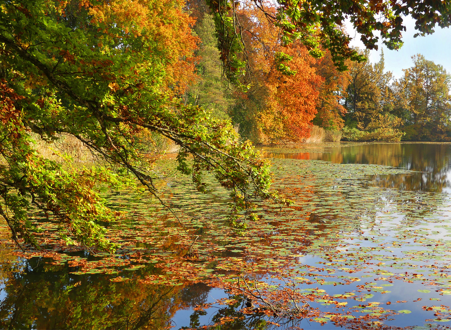 Herbst am Auseeli