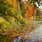 Herbst am Auseeli