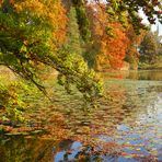 Herbst am Auseeli