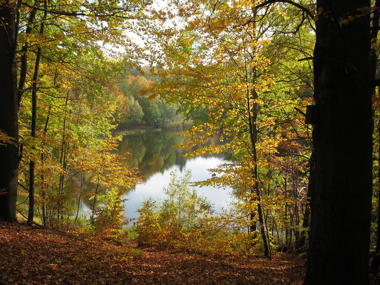 Herbst am Baa-See