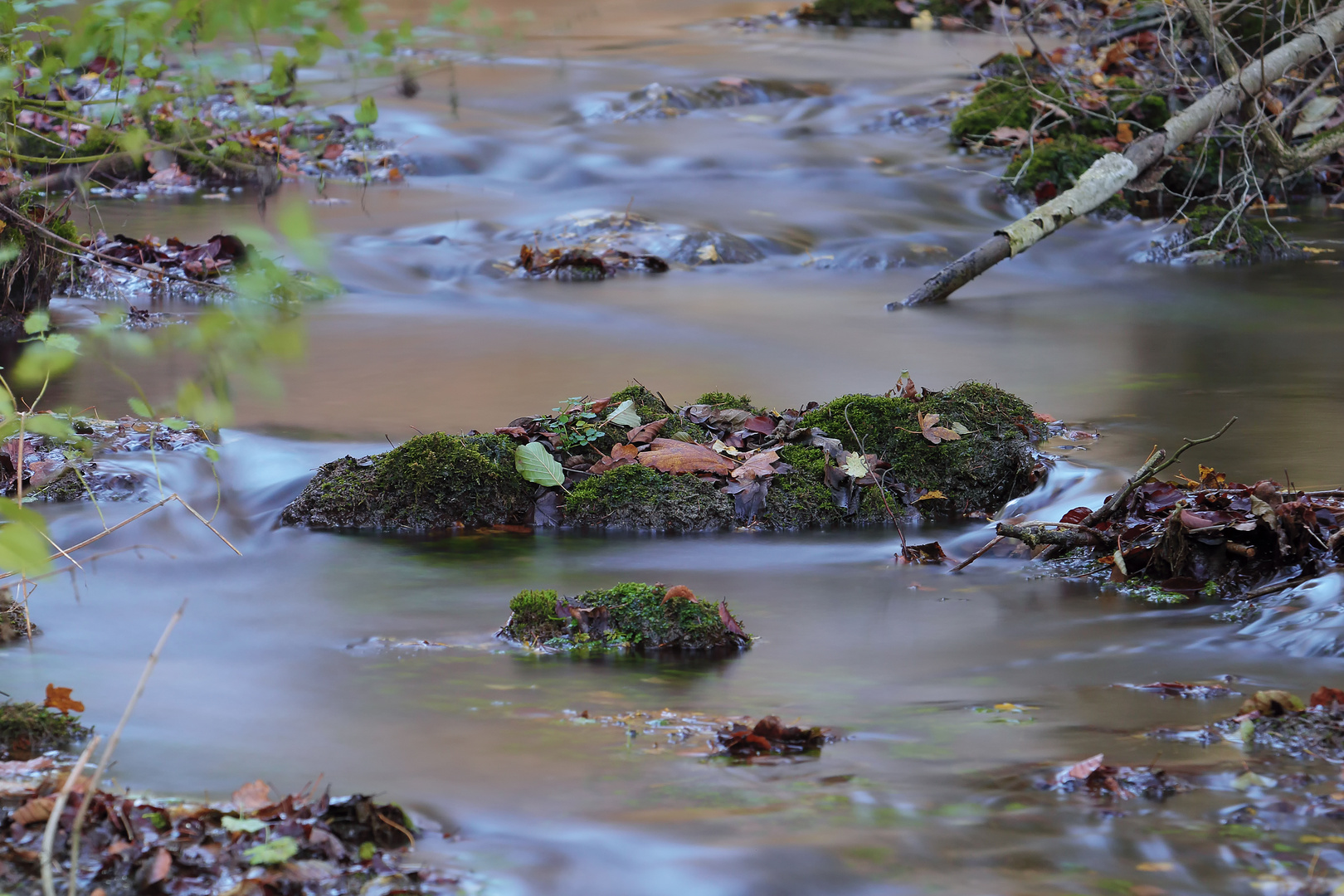 ...Herbst am Bach...