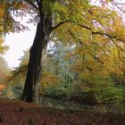 Herbst am Bach