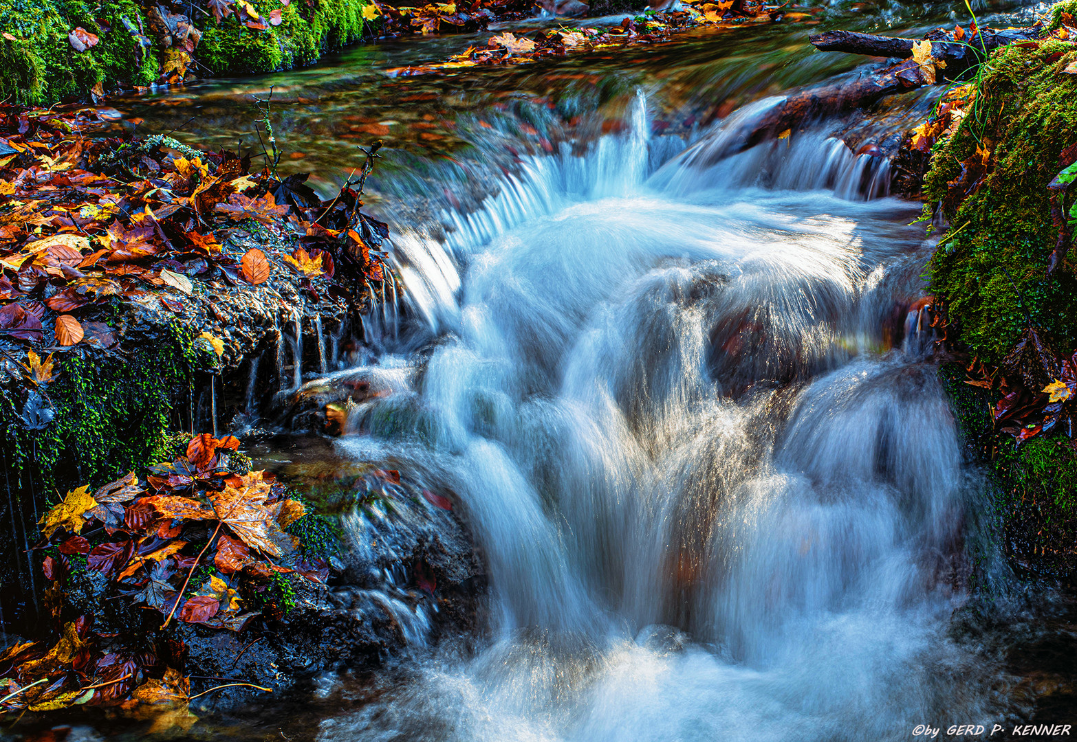 Herbst am Bach 