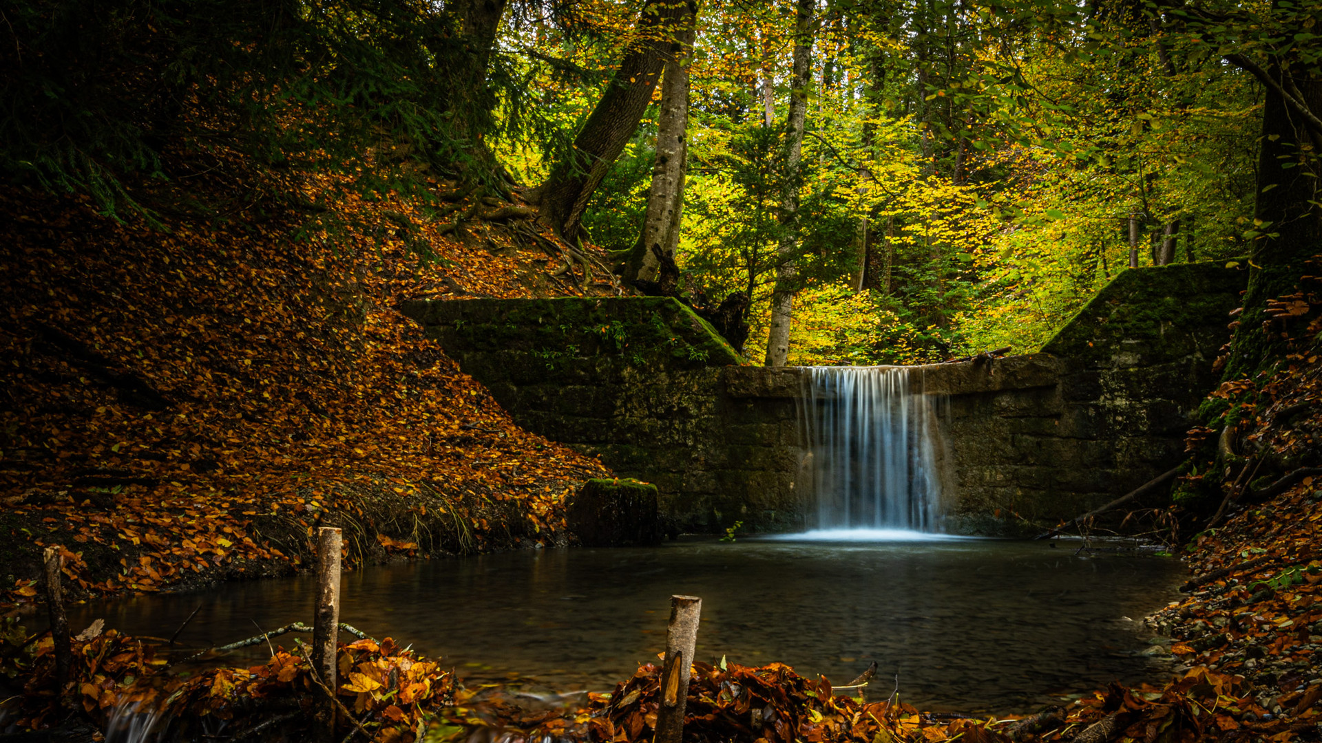 Herbst am Bach 1