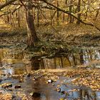 Herbst am Bach (2)