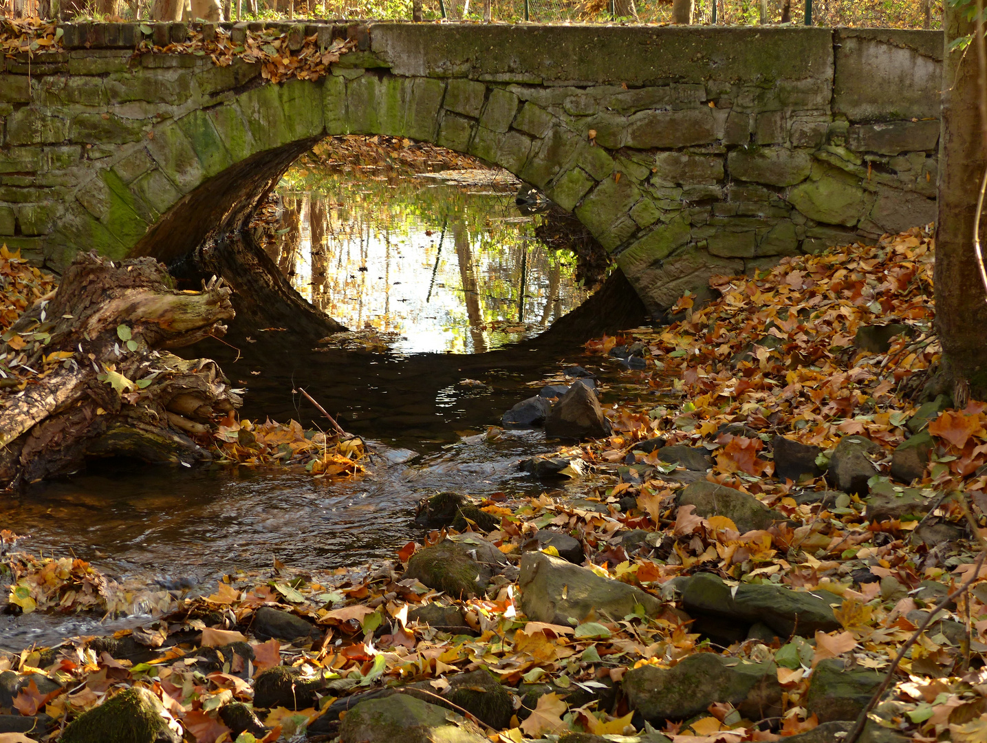 Herbst am Bach