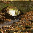 Herbst am Bach