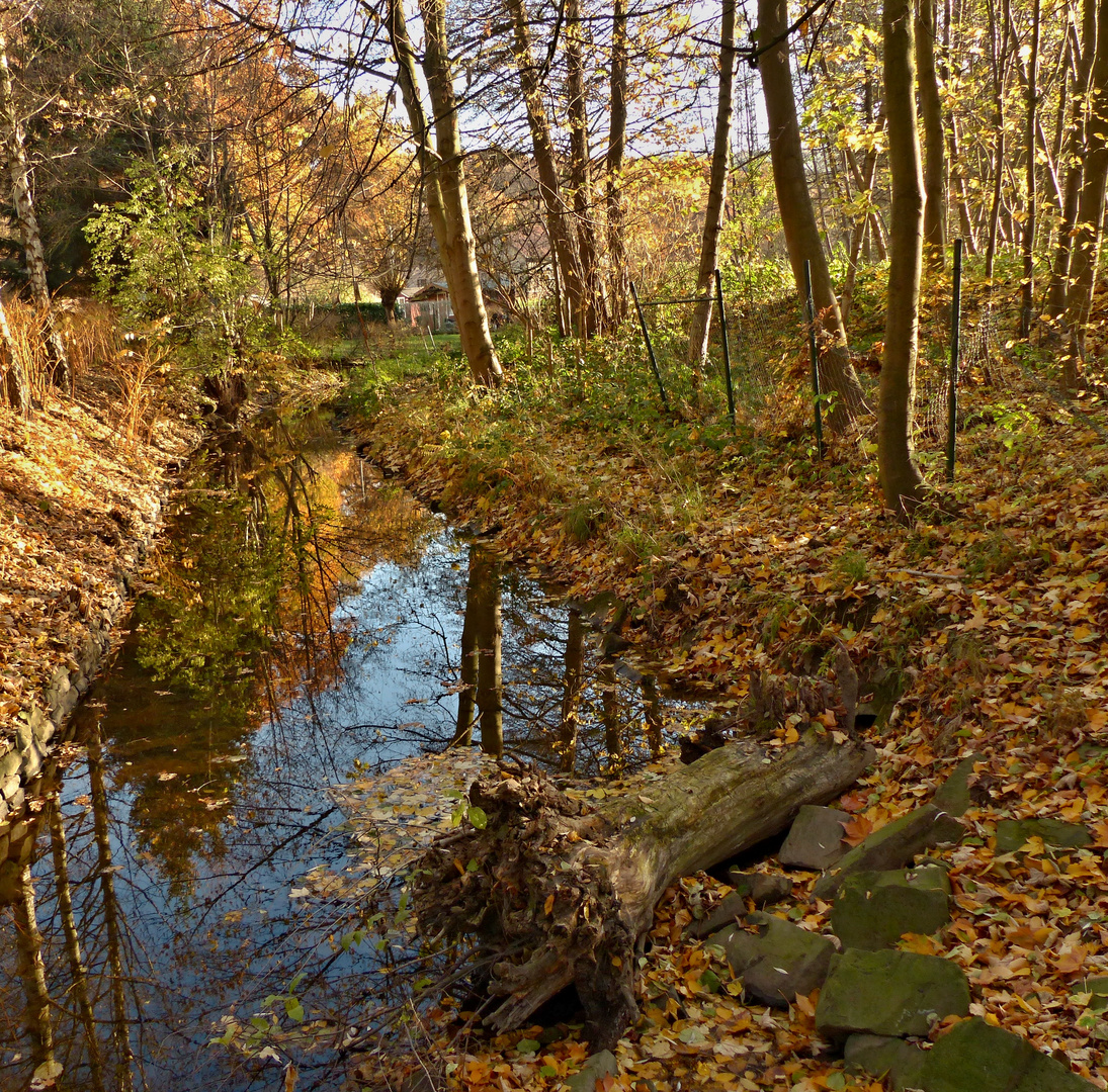 Herbst am Bach (3)