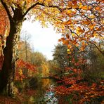 Herbst am Bach