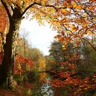 Herbst am Bach