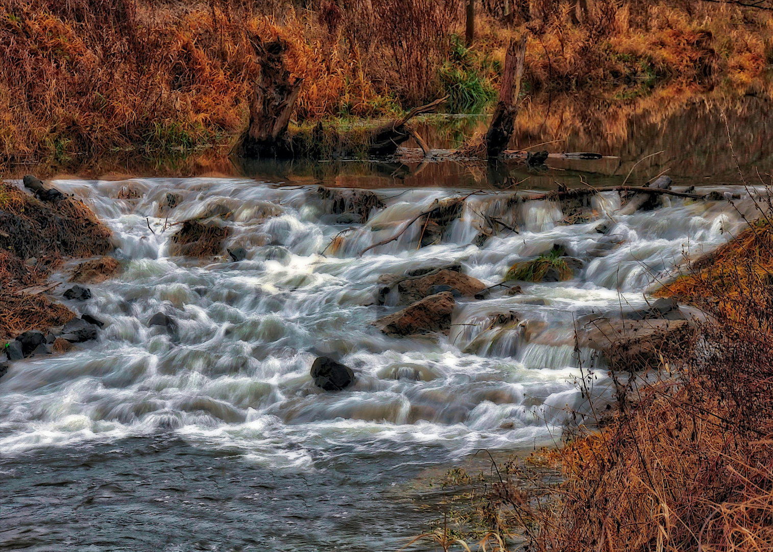 Herbst am Bach