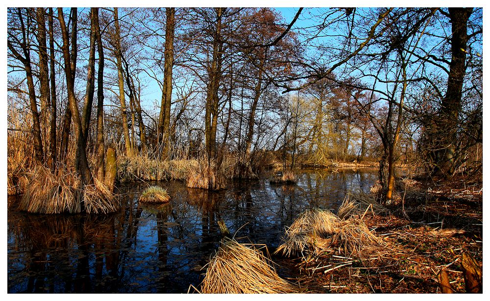 herbst am bach...