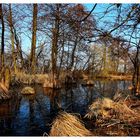 herbst am bach...