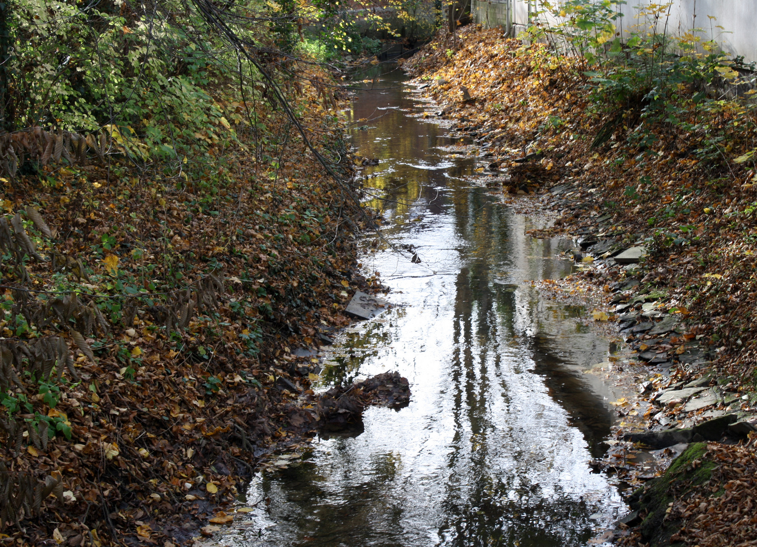 Herbst am Bach