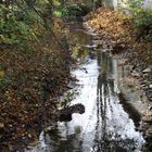 Herbst am Bach