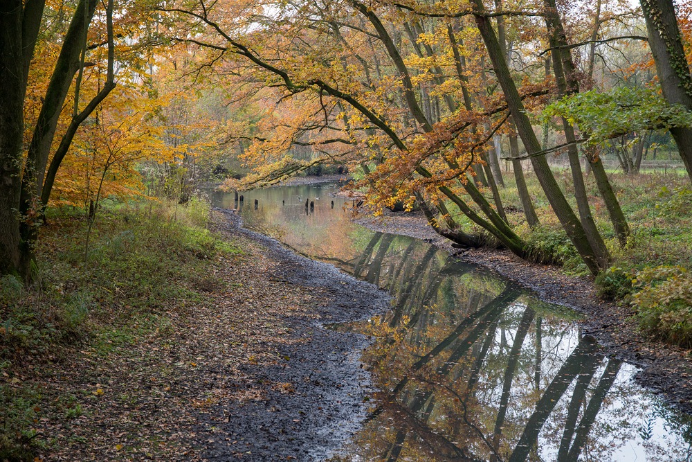 Herbst am Bach