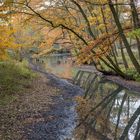 Herbst am Bach