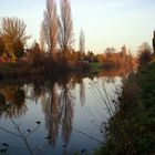 Herbst am Bach