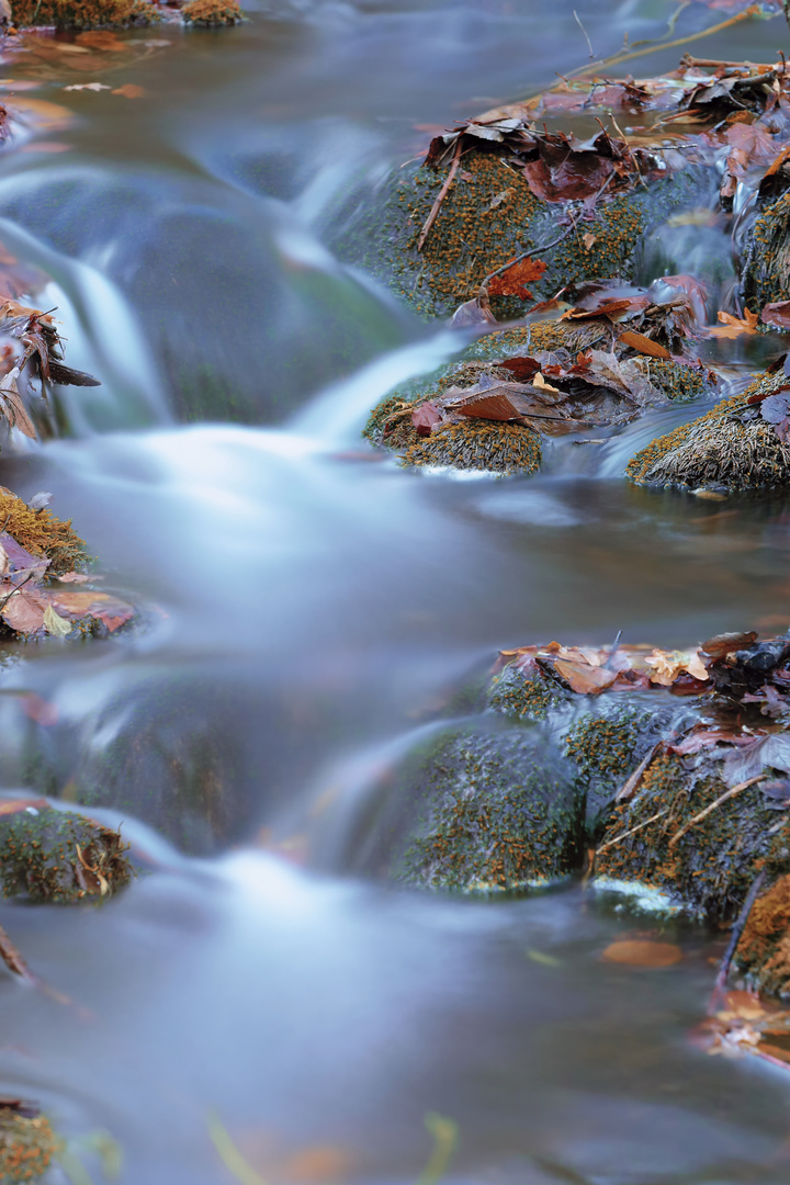 ...Herbst am Bach...