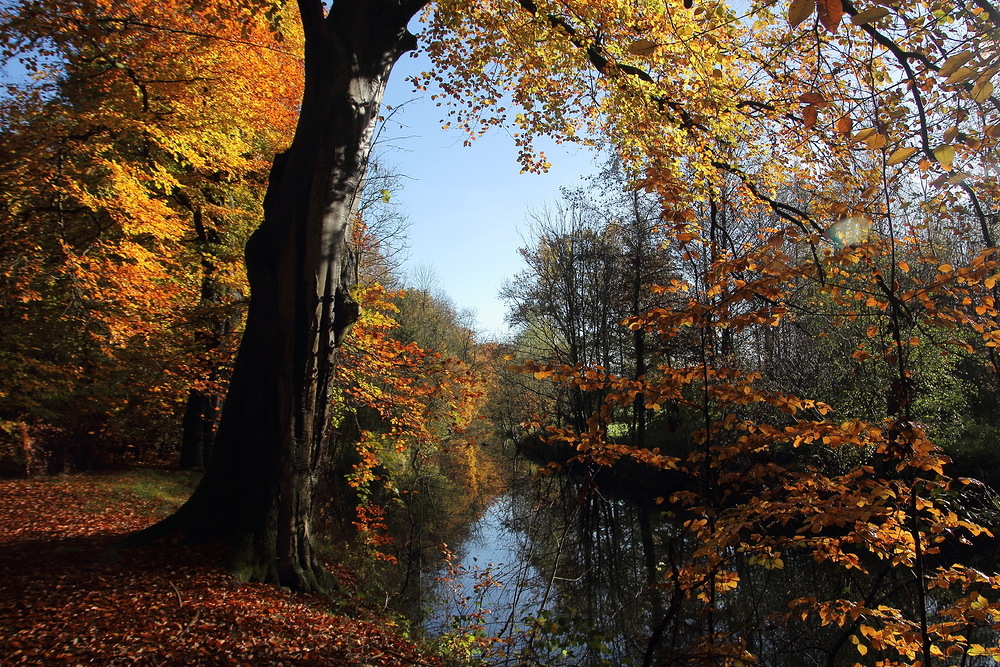 Herbst am Bach