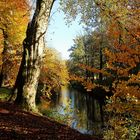 Herbst am Bach