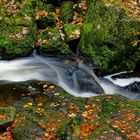 Herbst am Bach