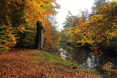 Herbst am Bach