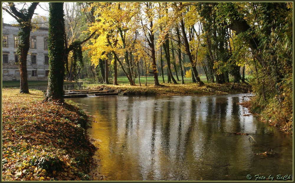 Herbst am Bach