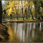 Herbst am Bach