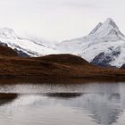 Herbst am Bachalpsee ...