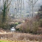 Herbst am Bachlauf