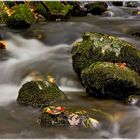 Herbst am Bachlauf