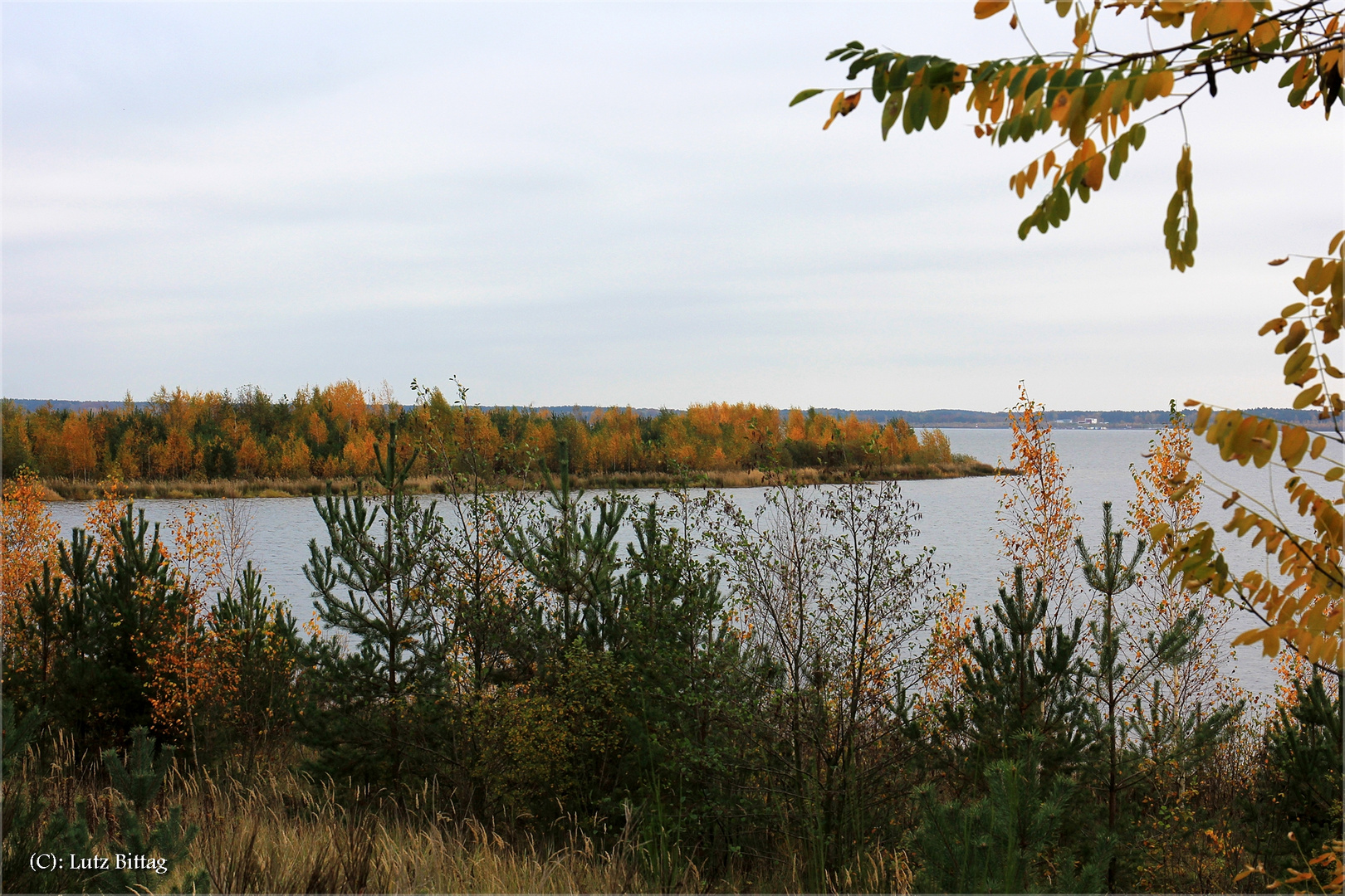 Herbst am Bärwalder See